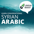 Learn Arabic (Syrian) with LinguaBoost