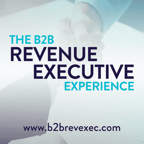 The B2B Revenue Executive Experience