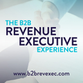 The B2B Revenue Executive Experience